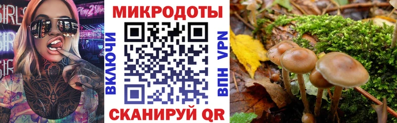 Купить  Кущёвская  Псилоцибиновые грибы Magic Shrooms 